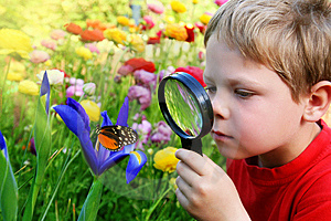 niño explorando