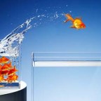 Cómo enseñar a tus hijos a detectar oportunidades.