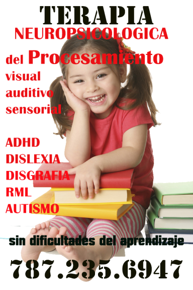 banner procesamiento