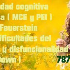 Modificabilidad cognitiva esructural – MCE y PEI – Metodo Dr. Feuerstein ahora en Puerto Rico